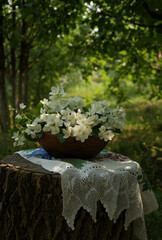 still life in a mysterious garden with a wooden bowl full of mock orange flowers on a tree stump