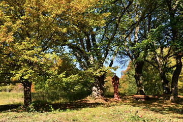 cross of a pilgrim way with autumnal painted leaves