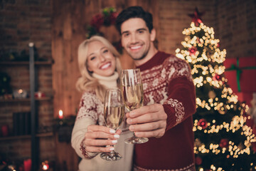 Photo of funky couple hold wine cheers wear red sweater near evergreen indoors on new year