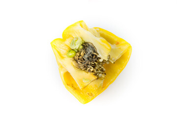 Rotten and Moldy yellow pepper on the white background. Bad conditions of preservation. Close up, Spoiled  food. Fungus illness.