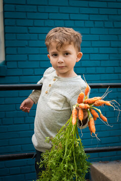 Portrait of a young boy holding a bunch of just-harvested carrots