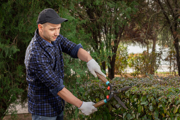 Young Male Gardener Pruning Bushes Outside