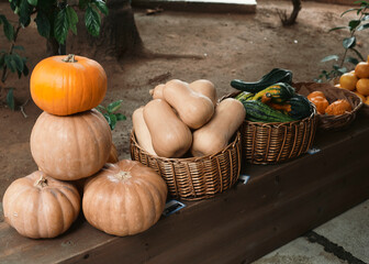 pumpkins in a basket, for sale