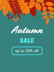 Autumn sale vector banner background with autumn leaf elements, autumn typography and discount text on blue green aquamarine background. Vector illustration.