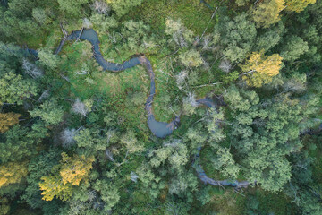 Beautiful autumn landscape with river and forest. Aerial photography using a drone