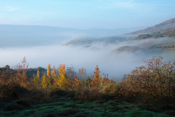 Beautiful landscape with a colourful forest in autumn. Fog and mountains in the background. Navarra, Spain
