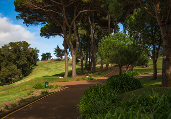 Tee and fairway nr. 1 with trees - view from the clubhouse at Palheiro golf course on Madeira, Atlantic ocean, Portugal