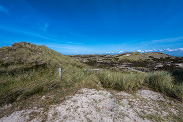 Dune Landscape on the Island Sylt, Germany