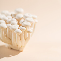 Fototapeta na wymiar White beech mushrooms or Shimeji mushroom on pastel beige paper background.