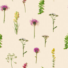 Summer field plants as creative floral composition or natural seamless pattern. Botanic flat lay.
