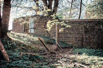 Ancient Stonework Wall on Old Irish Estate