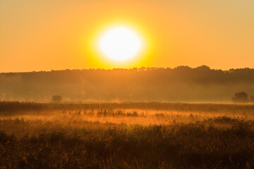 Obraz na płótnie Canvas Beautiful sunrise over a foggy meadow