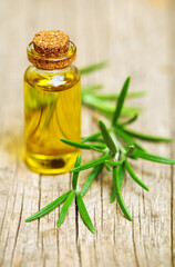 Healthy fresh green rosemary herb leaves and oil in a bottle. Natural medicine.