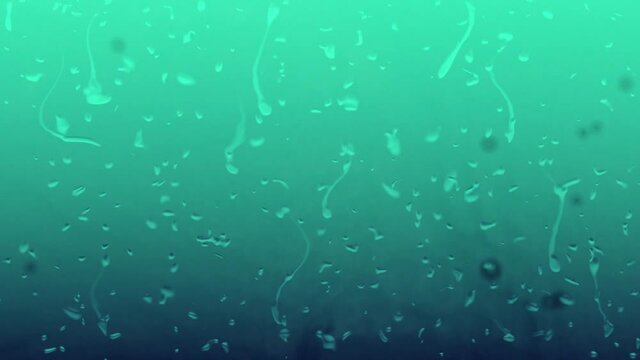 グラスに滴る水滴と泡の背景素材