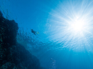 Fototapeta na wymiar freediver dives into deep blue water