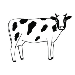 Cow vector illustration, hand drawing doodle