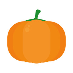 pumpkin vegetable icon