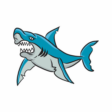  Shark hand drawn Cartoon Character illustration