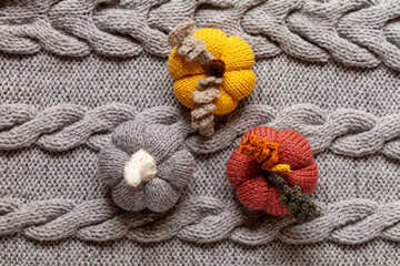 Three knitting pumpkins on grey knitting texture, top view