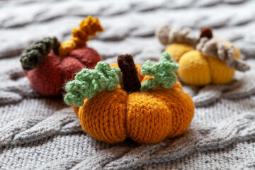 Three colorful pumkins, cosy autumn concept