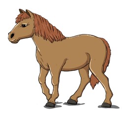 horse isolated on white