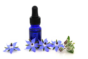 Borage herb flowers with essential oil bottle. Used in herbal medicine as a sedative, for hormonal...