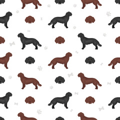 Flat coated retriever seamless pattern. Different poses, coat colors set