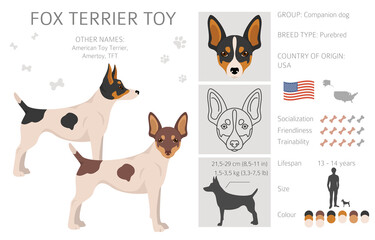 Fox terrier toy clipart. Different poses, coat colors set