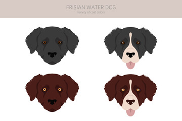 Frisian water dog clipart. Different poses, coat colors set