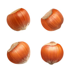 Set with tasty hazelnuts on white background