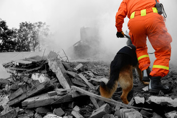 Searching through a destroyed building with the help of rescue dogs