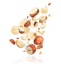 Pieces of tasty hazelnuts falling on white background