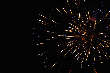 Obraz premium Beautiful bright firework lighting up night sky