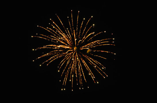 Beautiful bright firework lighting up night sky