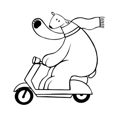 Cute Polar Bear Driving Scooter, Vector Clipart, Funny Animal Illustration Good For Card And Print Design