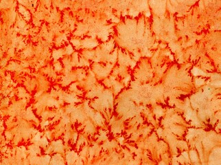 Abstract watercolor textured bright orange background, banner, salt effect
