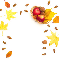Fall yellow leaves, apple and acorns on white background. Autumnal and thanksgiving concept. Flat lay