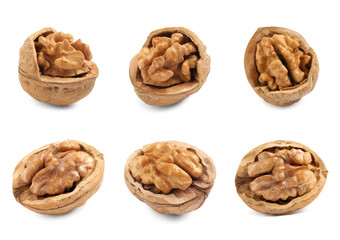 Set with tasty walnuts on white background