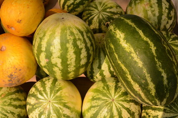 Ripe watermelons and melons are sold in the market