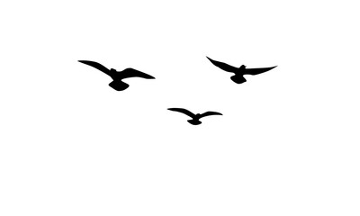 Flying birds silhouettes, background design. Vector illustration isolated on white background.