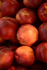 Orange ripe nectarines close-up