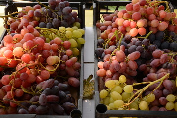 Grapes of different varieties in boxes on the market