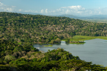 Fototapeta na wymiar The tropical rainforest in Gamboa along the Panama Canal, Gatun lake, Panama, Central America