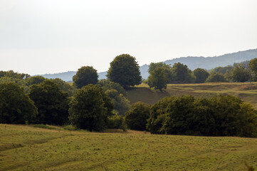 Krajobraz zielona polana na tle nieba panorama