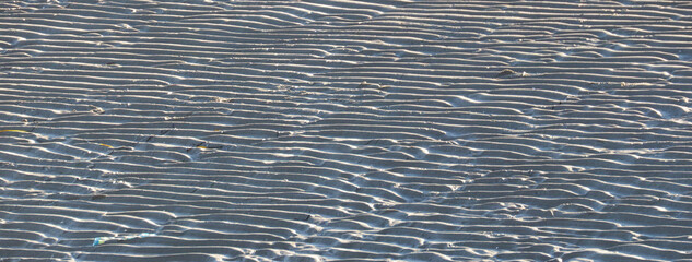 Ocean bottom exposed during low tide at White Rock