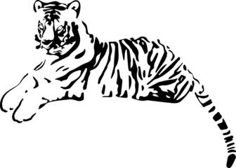 Hand drawn lying tiger. Chinese symbol of the New Year 2022.