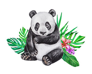 Panda bear in tropical leaves. Watercolor illustration. Hand drawn. Isolated on a white background.