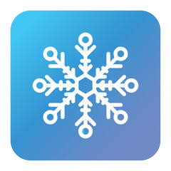 winter icon