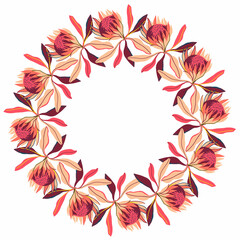 Vector isolated design botanical cute garland floral vignette of protea flowers