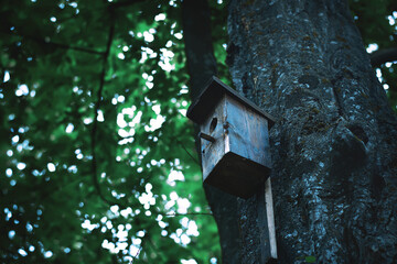 birdhouse on tree